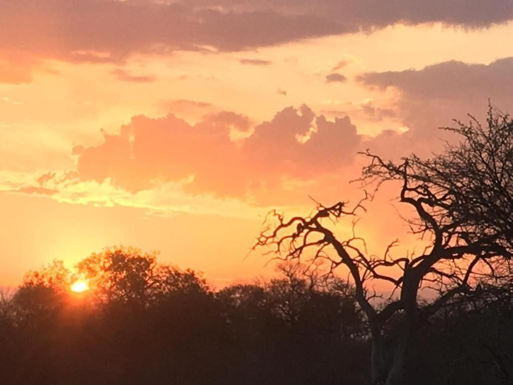 Panache Wildlife Cottage-Self Catering Hoedspruit Exterior foto